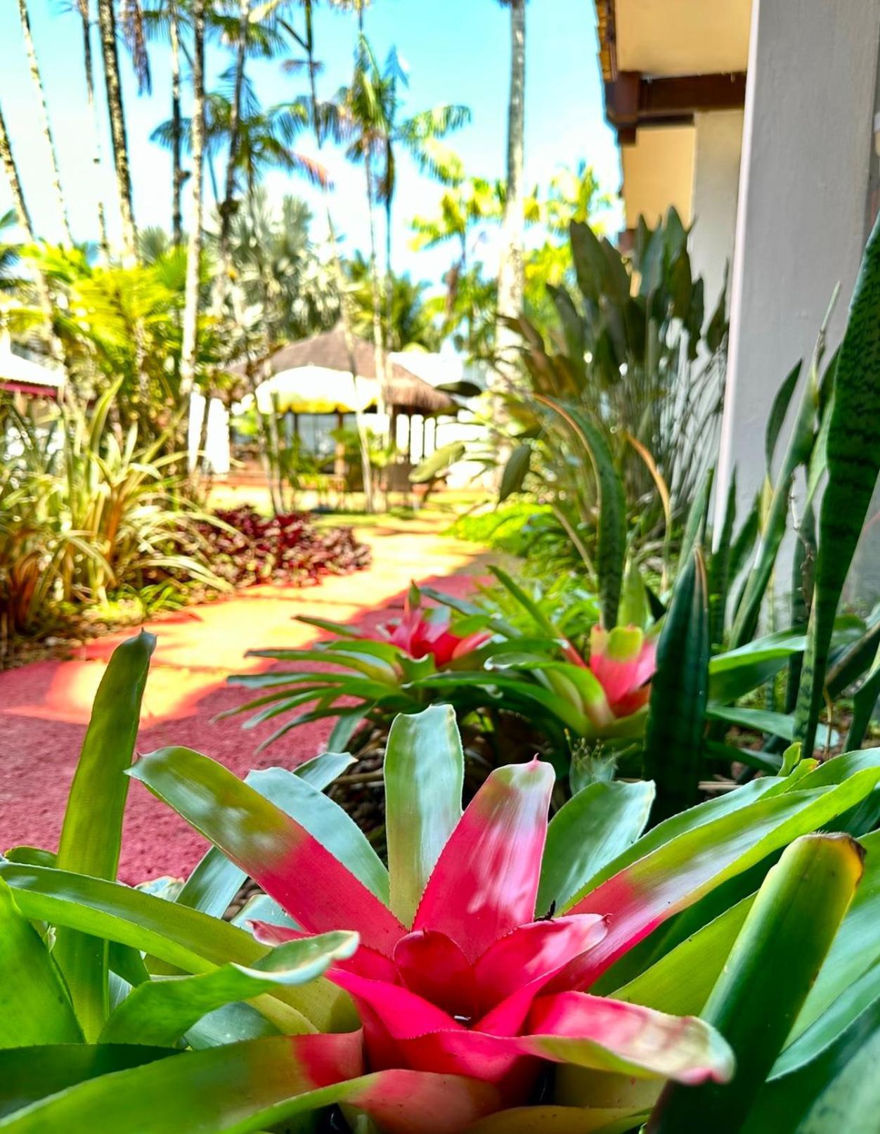 Hotel Casa Paradiso غوارويا المظهر الخارجي الصورة